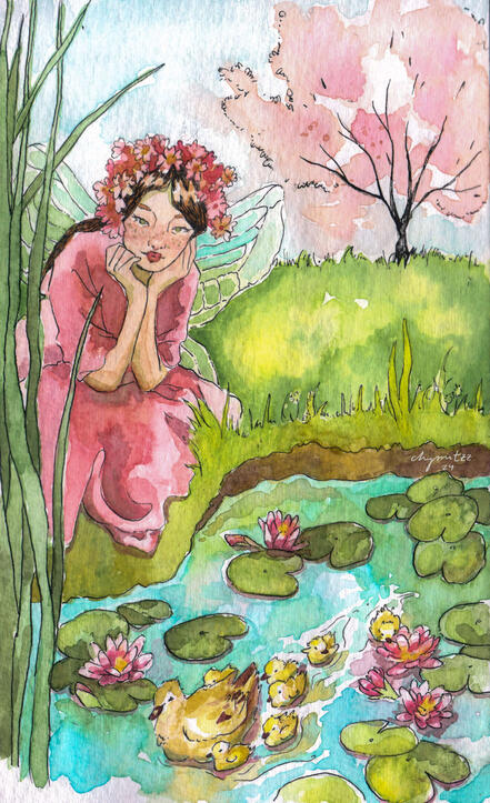 The lily pond