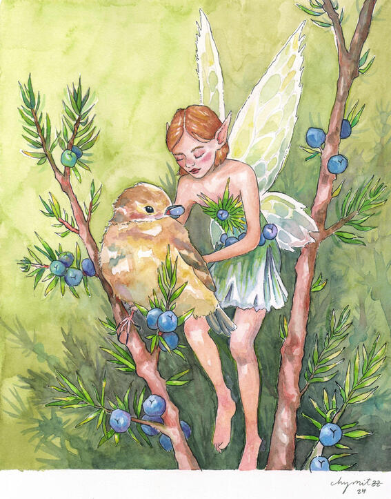 The juniper fairy